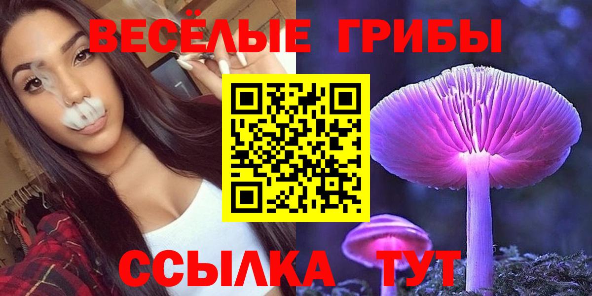 Галлюциногенные грибы прущие грибы Ковров