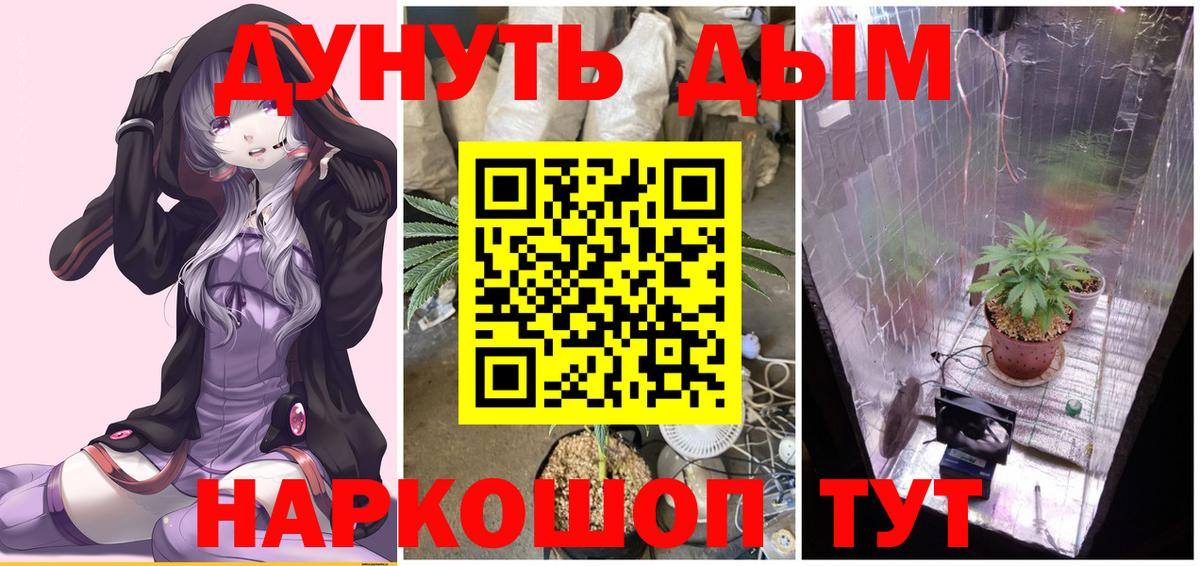 Каннабис MAZAR Ковров
